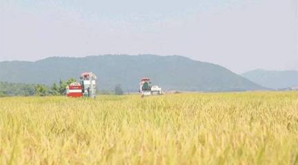 政策東風(fēng)至，農(nóng)機企業(yè)迎轉(zhuǎn)機 聚焦農(nóng)業(yè)生產(chǎn)托管服務(wù)的六大戰(zhàn)略機遇